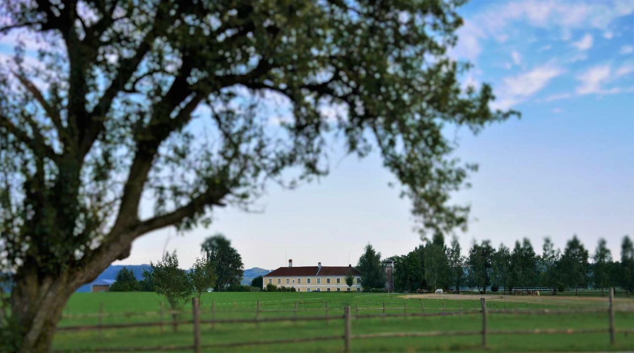 Reiterbauernhof Schoenlehenhof Mank Buitenkant foto