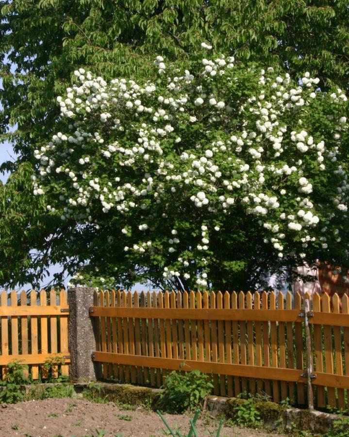 Reiterbauernhof Schoenlehenhof Mank Buitenkant foto