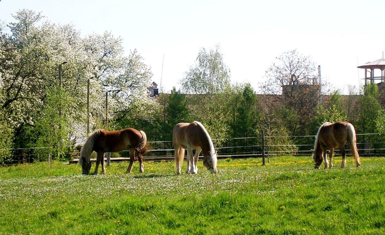 Reiterbauernhof Schoenlehenhof Mank Buitenkant foto